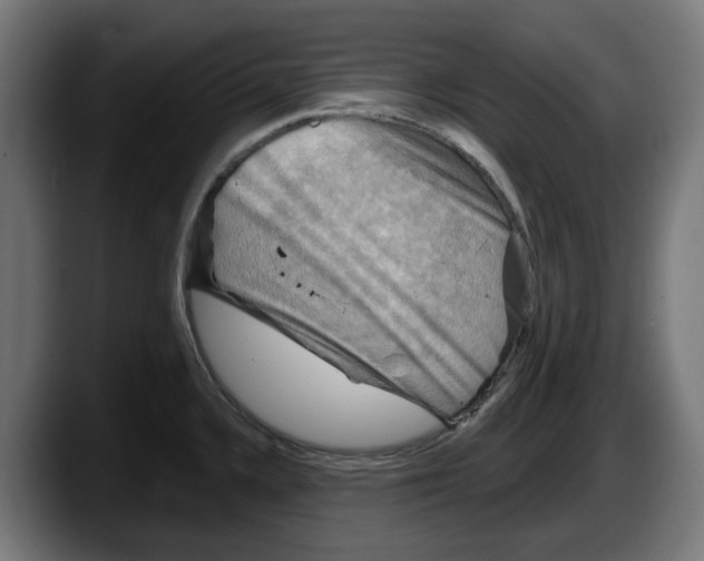 X0000087591336200705251854