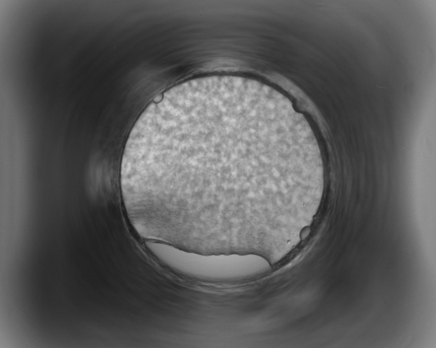 X0000087591337200705251854