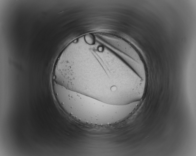 X0000087591338200705251854