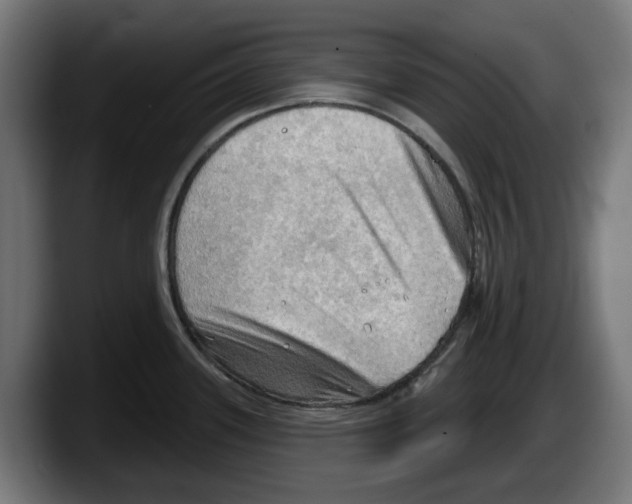 X0000087591339200705251854