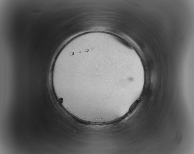 X0000087591340200705251854