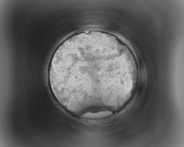 X0000087591341200705251854