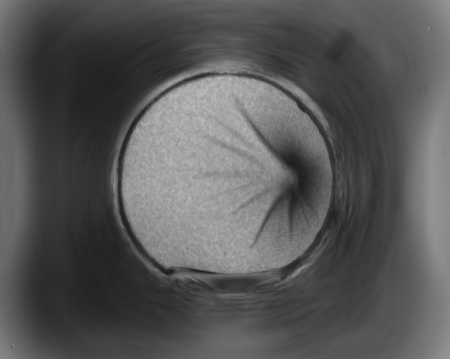 X0000087591343200705251854