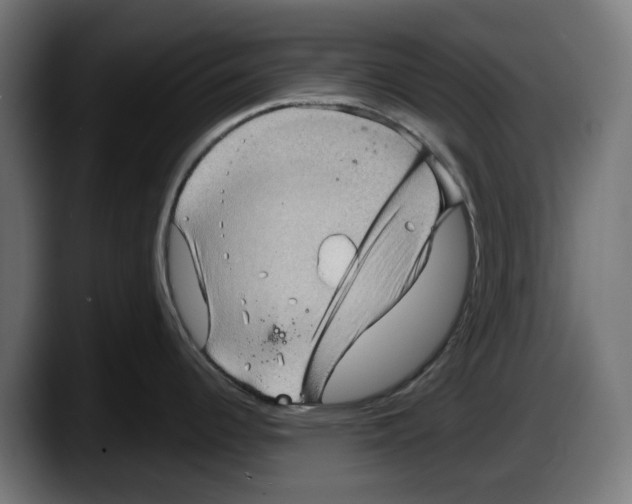 X0000087591344200705251854