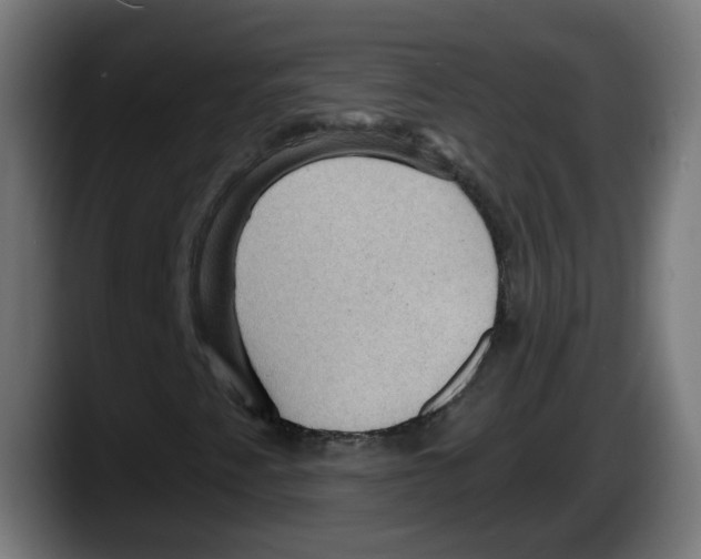 X0000087591345200705251853