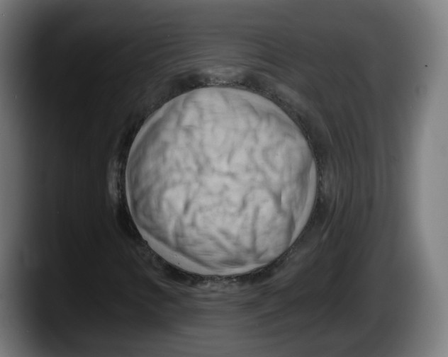 X0000087591346200705251853