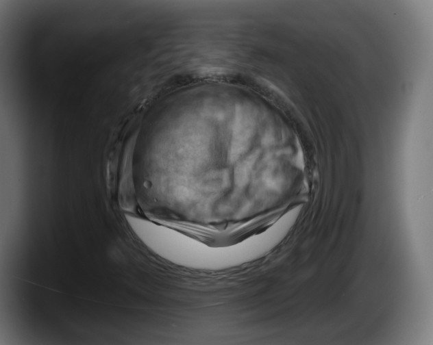 X0000087591348200705251853