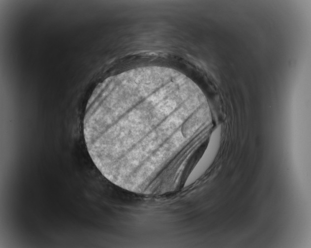 X0000087591350200705251853