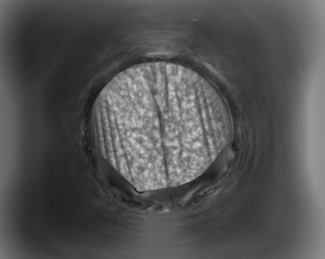 X0000087591351200705251853