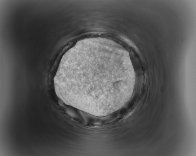 X0000087591352200705251853