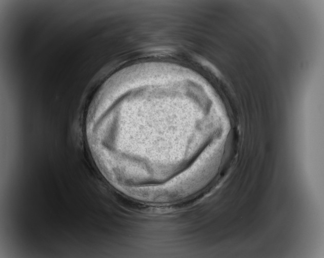 X0000087591354200705251853