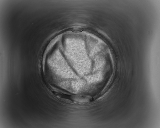 X0000087591355200705251853