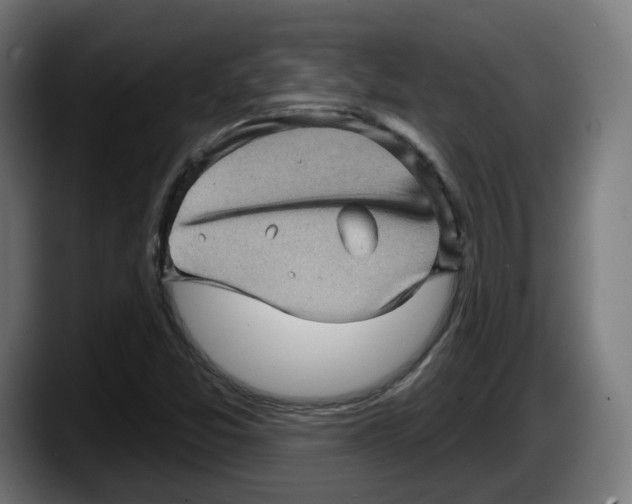 X0000087591357200705251853