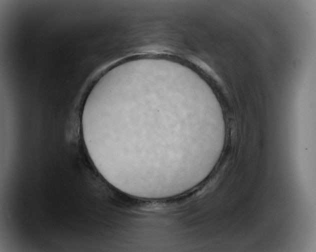 X0000087591358200705251853