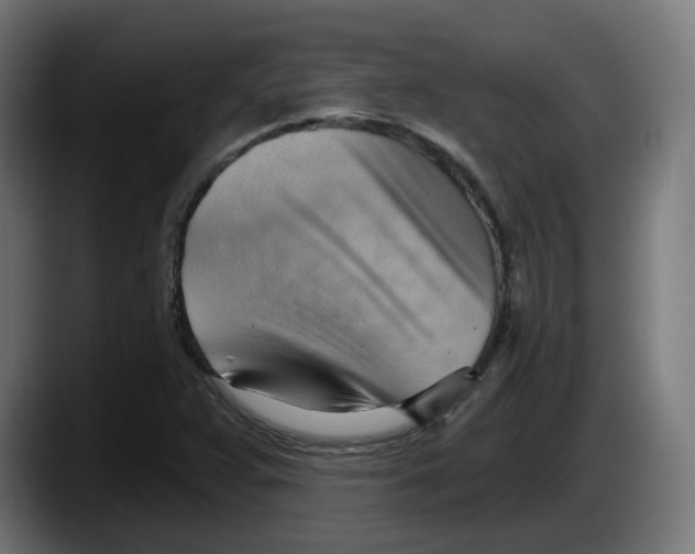 X0000087591359200705251853