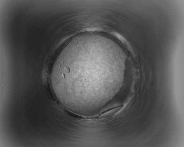 X0000087591361200705251853