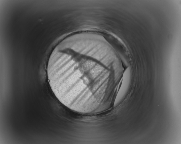 X0000087591363200705251853