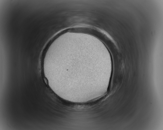 X0000087591364200705251853