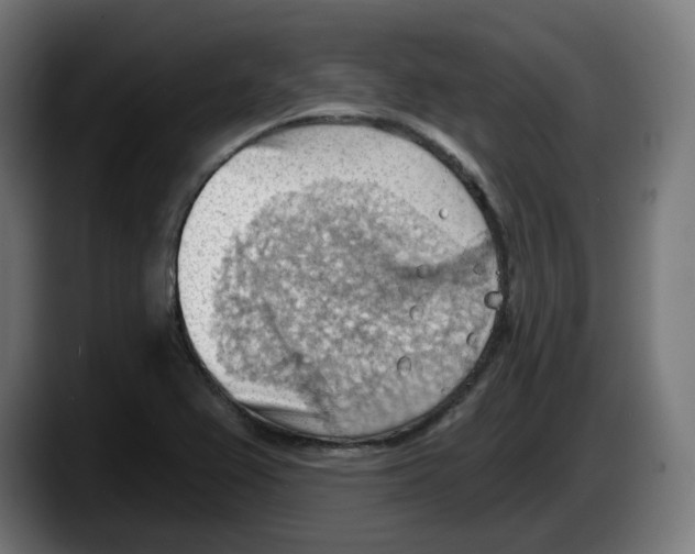 X0000087591367200705251853