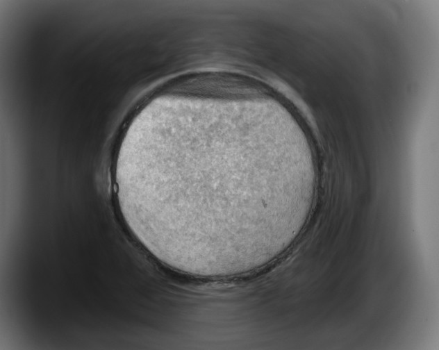 X0000087591368200705251853