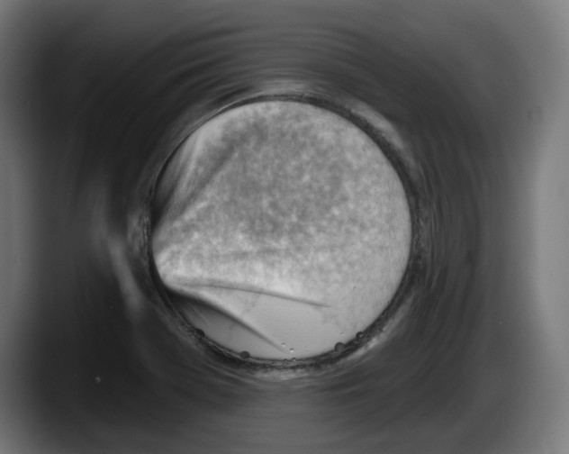 X0000087591369200705251853