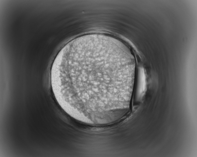 X0000087591371200705251853