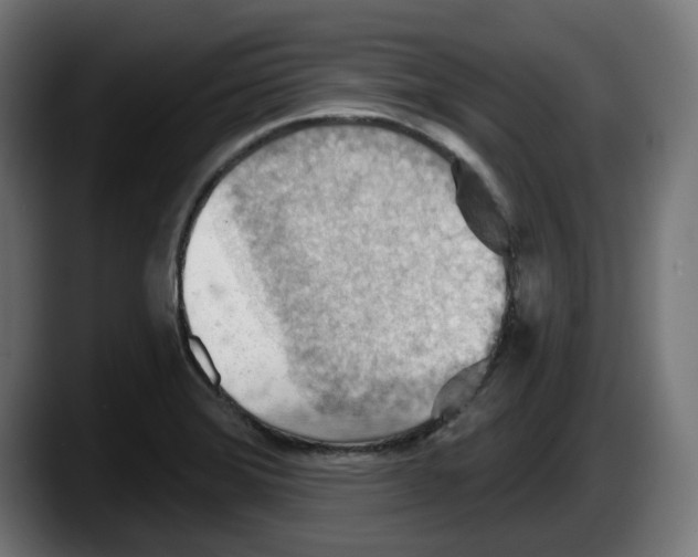 X0000087591372200705251853