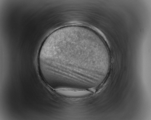 X0000087591373200705251853