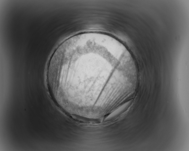 X0000087591374200705251853