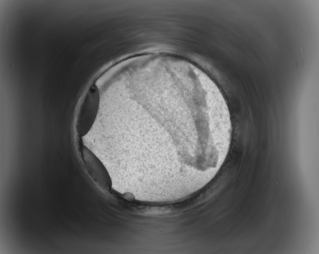 X0000087591375200705251853