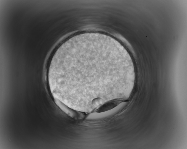 X0000087591376200705251853