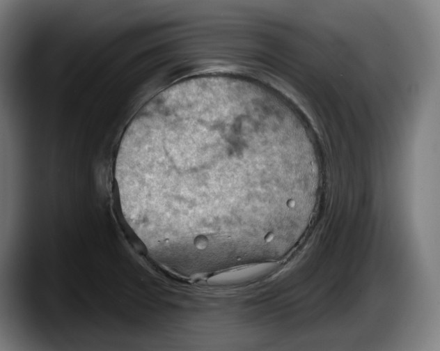 X0000087591377200705251853