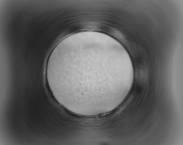 X0000087591378200705251853