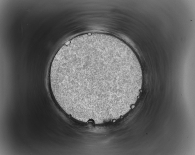 X0000087591379200705251853