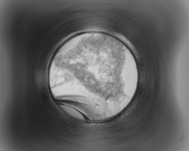 X0000087591380200705251853