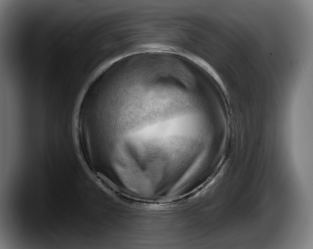 X0000087591381200705251853