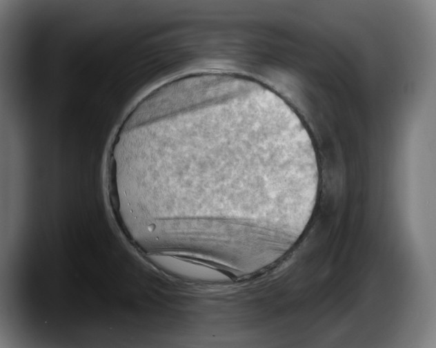 X0000087591382200705251853