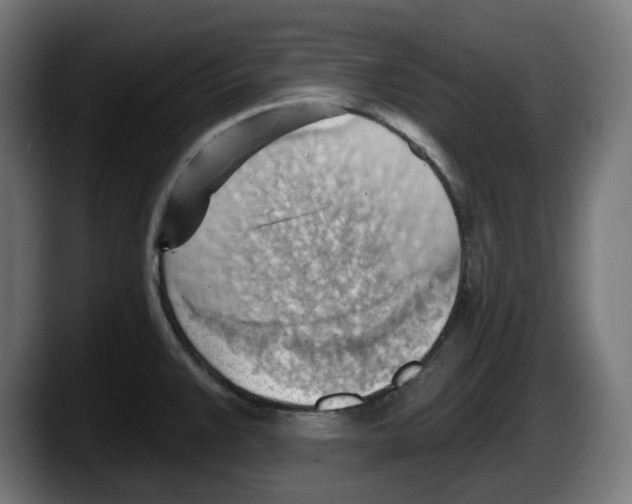 X0000087591383200705251853