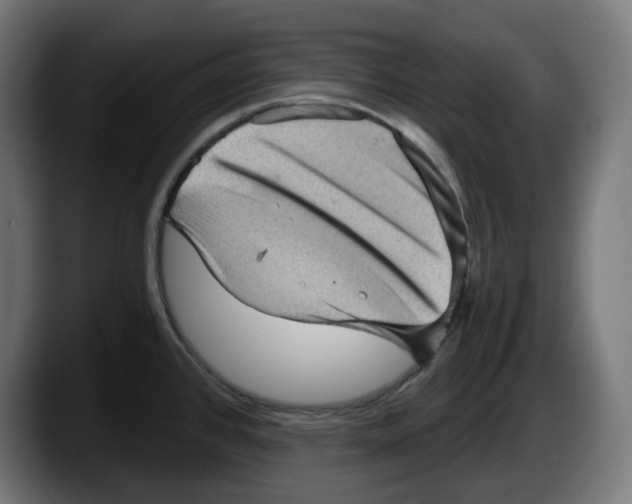 X0000087591384200705251853