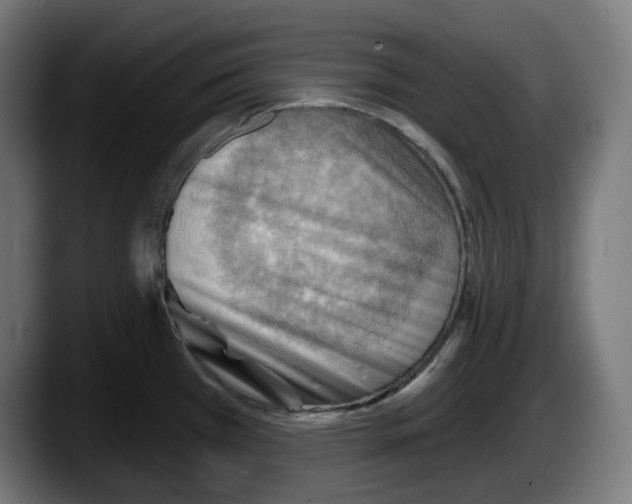 X0000087591385200705251853