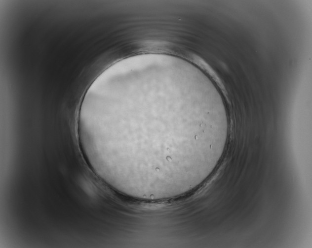 X0000087591386200705251853