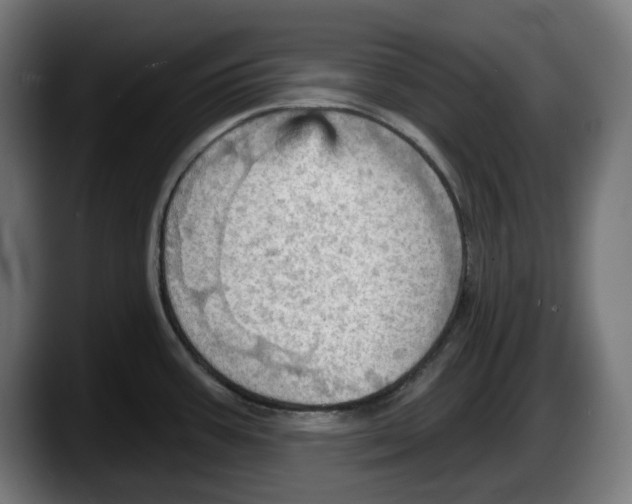 X0000087591387200705251852