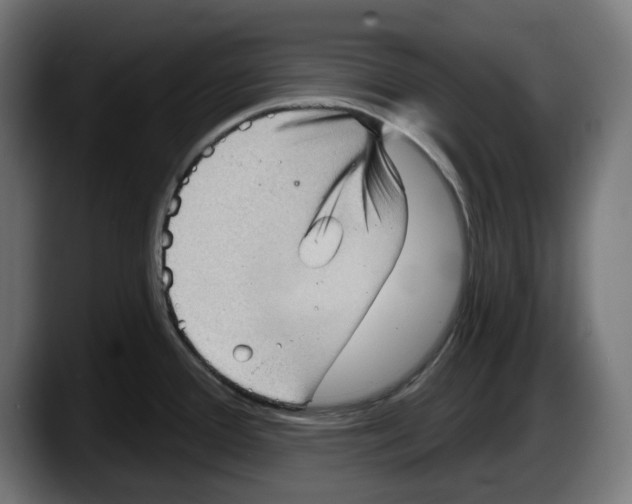 X0000087591388200705251852