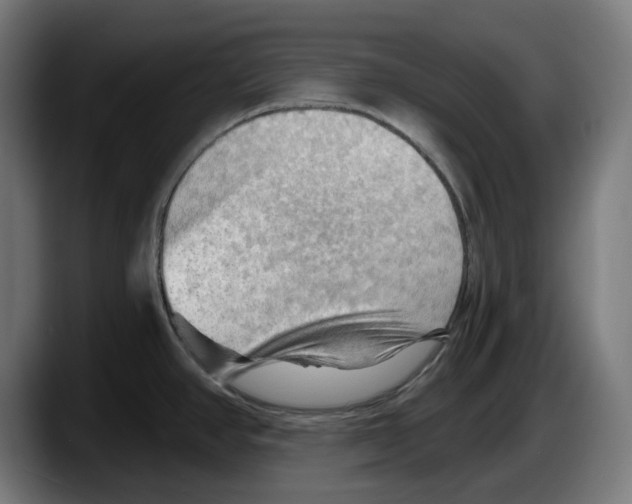 X0000087591390200705251852