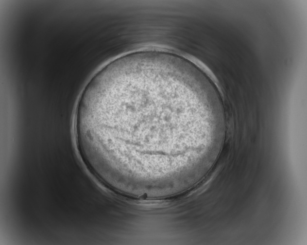 X0000087591391200705251852