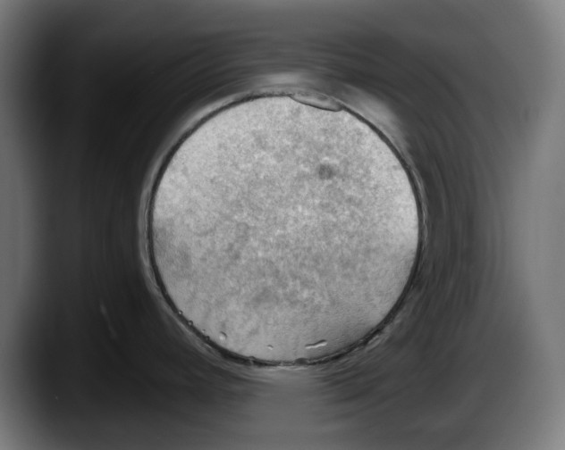 X0000087591392200705251852