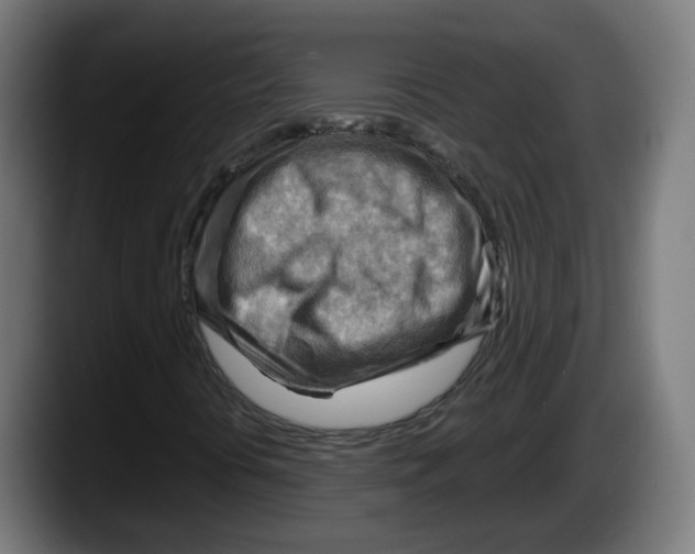 X0000087591394200705251852