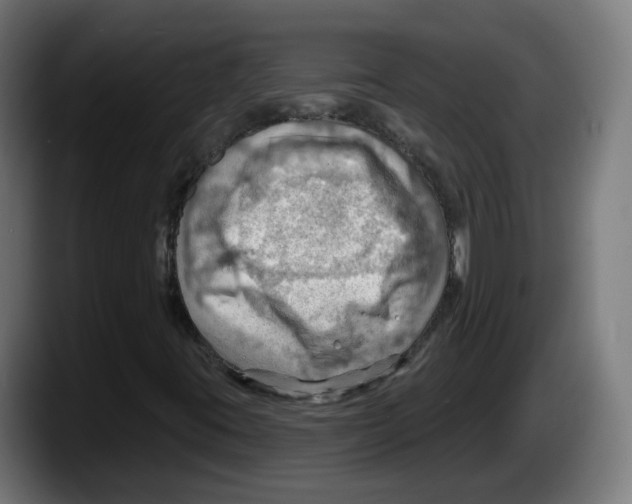 X0000087591395200705251852