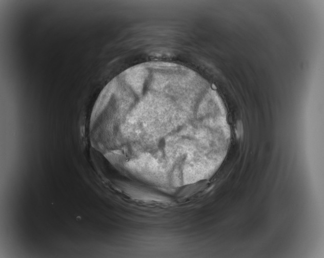 X0000087591396200705251852