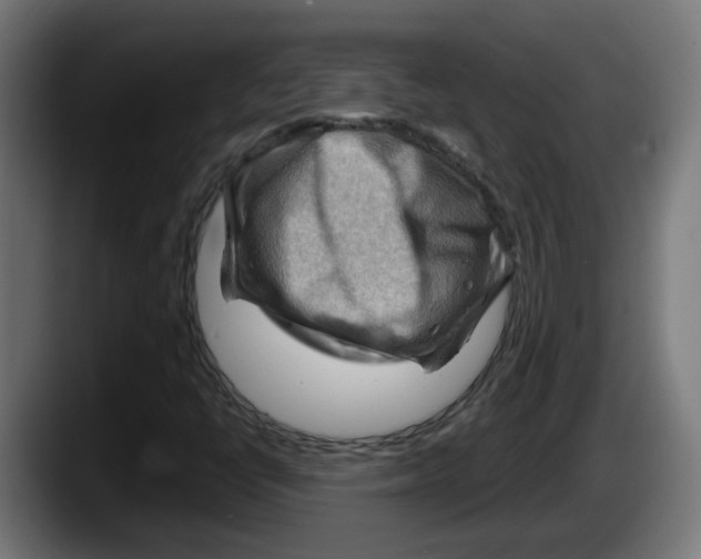 X0000087591398200705251852